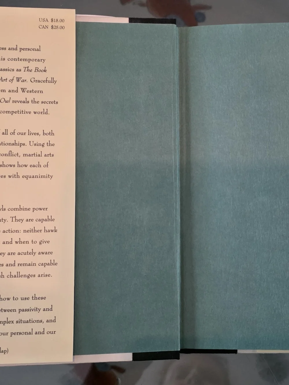 'The Way of the Owl' Hardcover - Blue & Cream